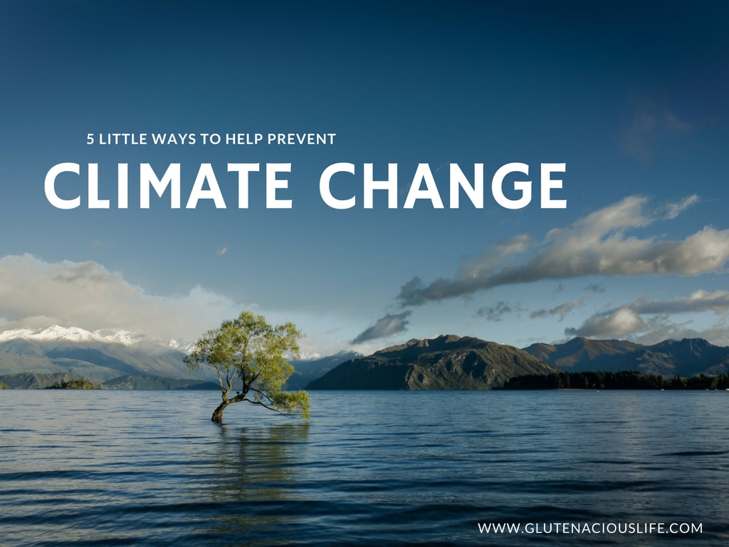 5 Little ways you can help prevent climate change | Glutenacious Life