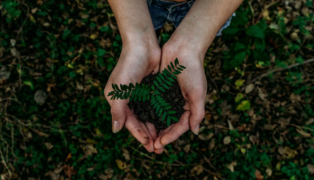 Plantar árboles y plantas - Pequeños Gestos para ayudar a prevenir el Cambio Climático | Glutenacious Life